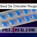 Red Knight Sex 22
